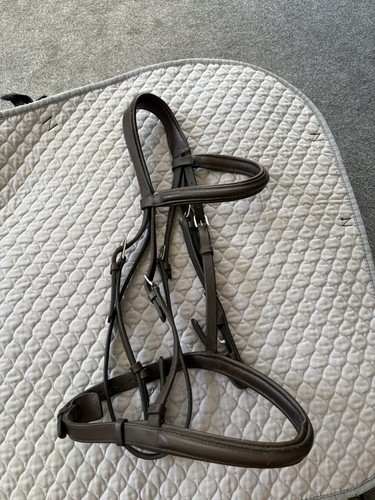 John whitaker dark brown cob - john,