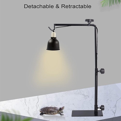 Adjustable tortoise table - adjustable,