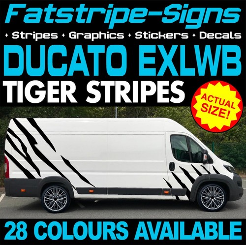 Fits fiat ducato graphics - fits,