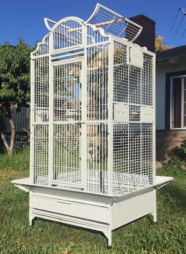 Large elegant bird parrot - large,