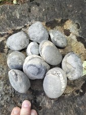 10 x SMALL -MEDIUM SPLIT