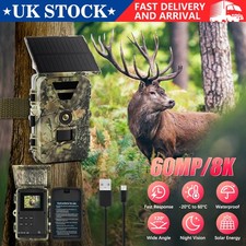 8K 60MP Solar Wildlife Trail