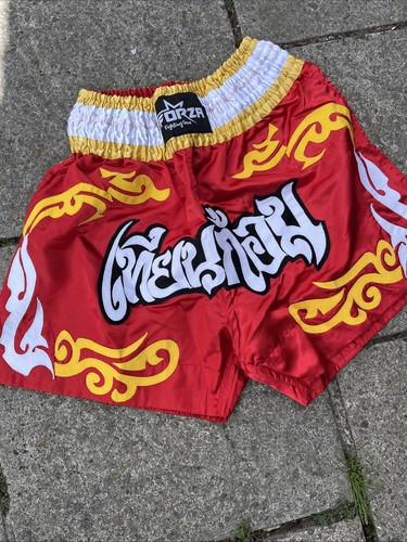 Muay thai mma boxing - thai,