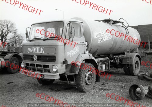 Truck photo dairy products - dairy,