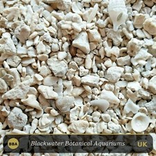 CRUSHED CORAL with free media