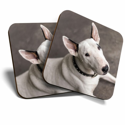 Coasters fun english - coasters,
