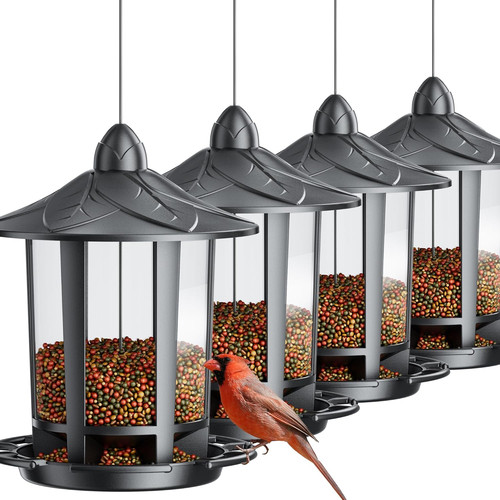 Pack bird feeders for - bird,