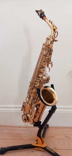 Beginner alto saxophone - beginner,