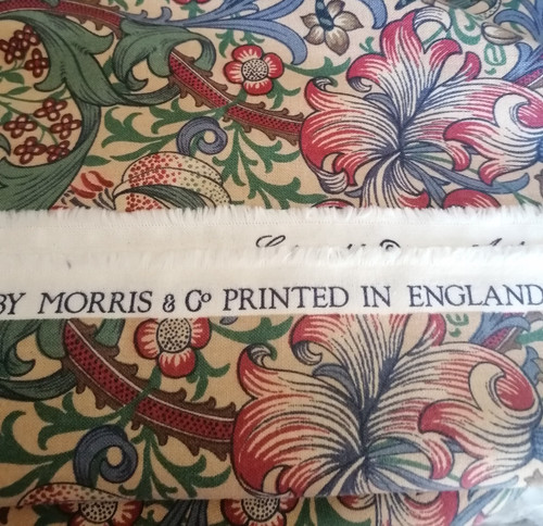 Morris golden lily minor - &,