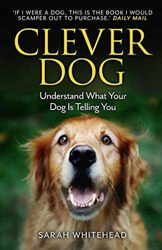 Clever dog understand - clever,