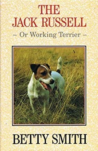 Jack russell working - or,,