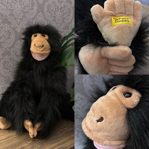 The puppet company chimp - the,