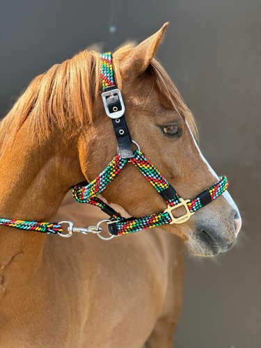 Equipride braided headcollar - braided,