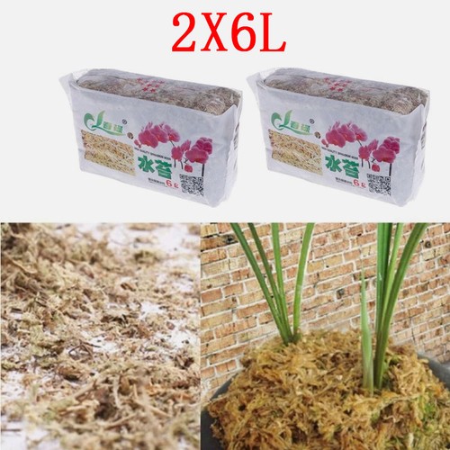 2pcs6l dried sphagnum moss - sphagnum,