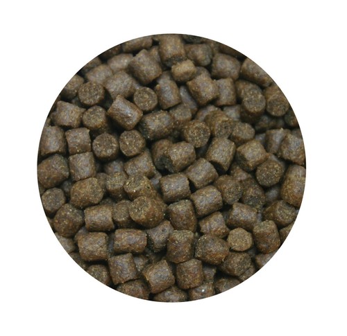 Skretting coarse elite - elite, trout