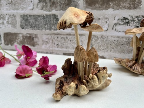 Hand carved mushrooms teak - on,