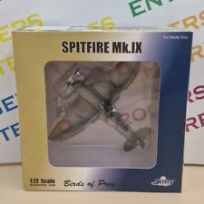 Witty Wings Birds Of Prey