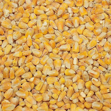 Copdock Mill Whole Maize