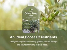 Vitax Liquid Olive Tree Feed