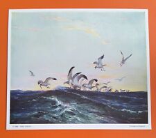 Vintage Retro 1950s Vernon