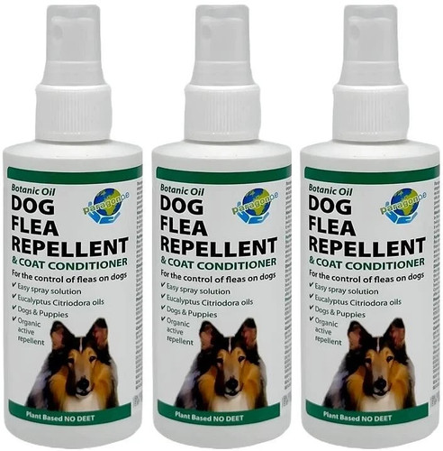 Paragon dog flea repellent - dog,