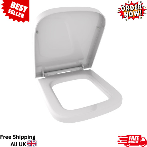 Rak toilet seat - toilet, close