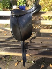 Black Albion Legend Dressage
