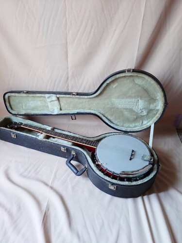 Aria sb100 string - 5-string, banjo