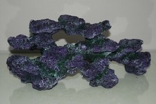 Stunning Aquarium Large Coral