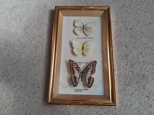 Vintage wooden framed x - 3,