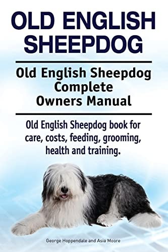 Old english sheepdog - old,