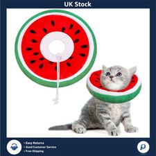 Comfy Watermelon Cat Cone