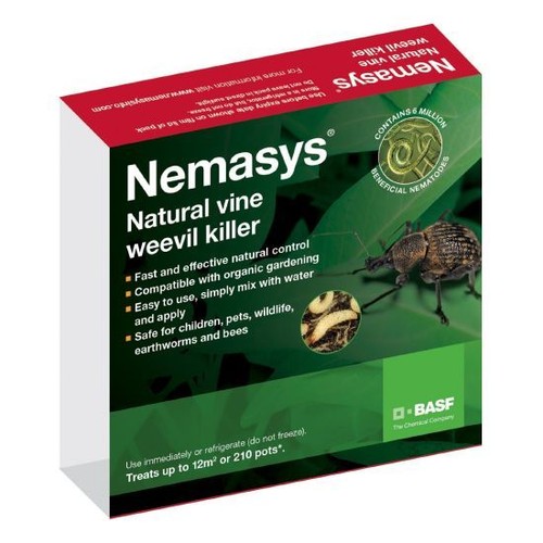 Nemasys nematodes vine - vine, weevil