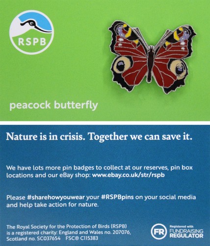 Rspb pin badge niic peacock - rspb,