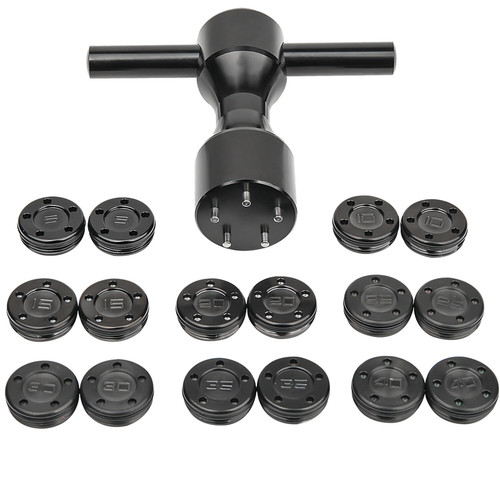 20g golf weight - 2×,