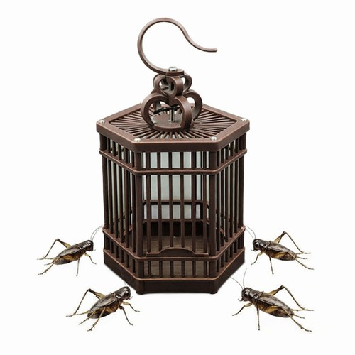 1pc grasshopper cage woven - 1pc,