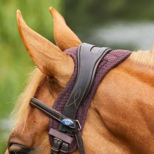 Pony brown protechmasta - pony,