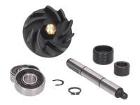 Gilera Runner 125 FX SP 2T LC Water Pump Repair Kit