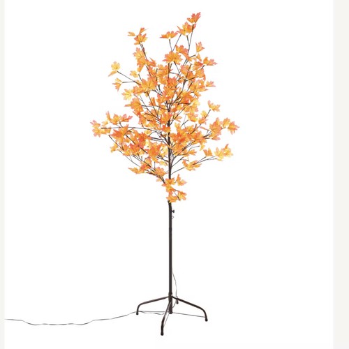 Outdoor 5ft 6ft autumn maple - outdoor,