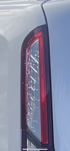 Transit connect tourneo 2020 - transit,