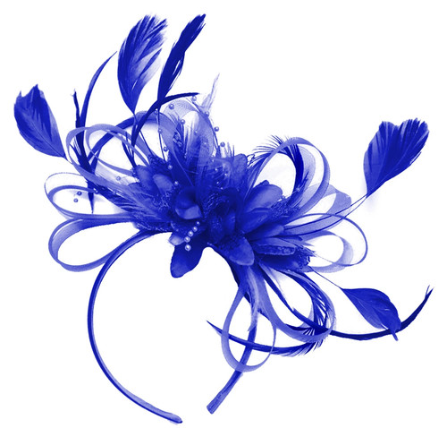 Customised feather hair - customised,