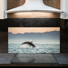 Kitchen Splashback Toughened