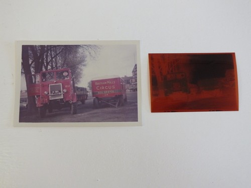 Bertram mills circus - mills, frankwell