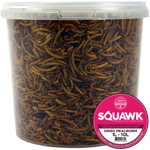 Squawk dried mealworms - dried,