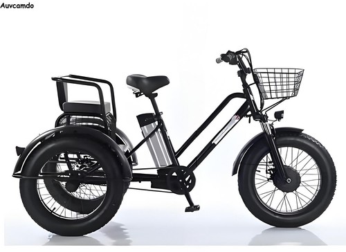 Inch electric tricycle 500w - 20,