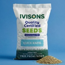 Super Fast Growing Grass Seed