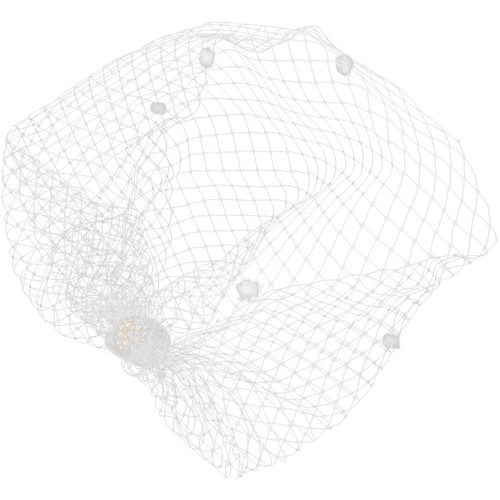 Birdcage veil wedding bride - birdcage,