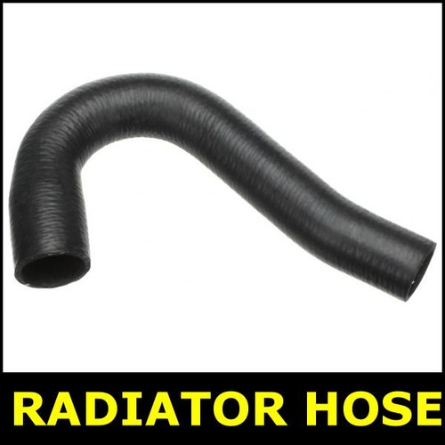 Radiator hose pipe upper for - hose,