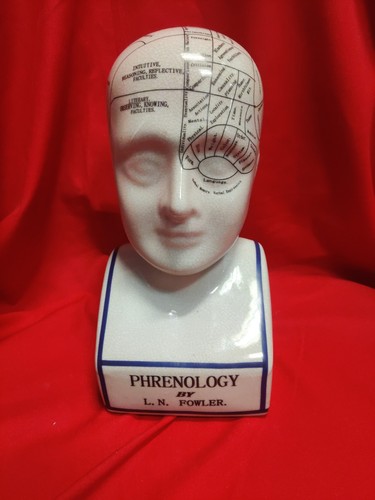 Phrenology bust head - phrenology,