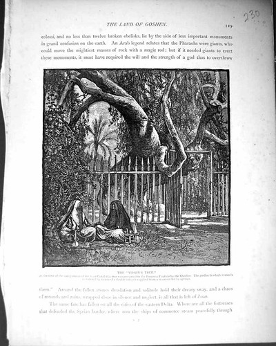 Antique old print 1169 - old,